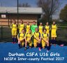 mNCSFAFs16-17.jpg